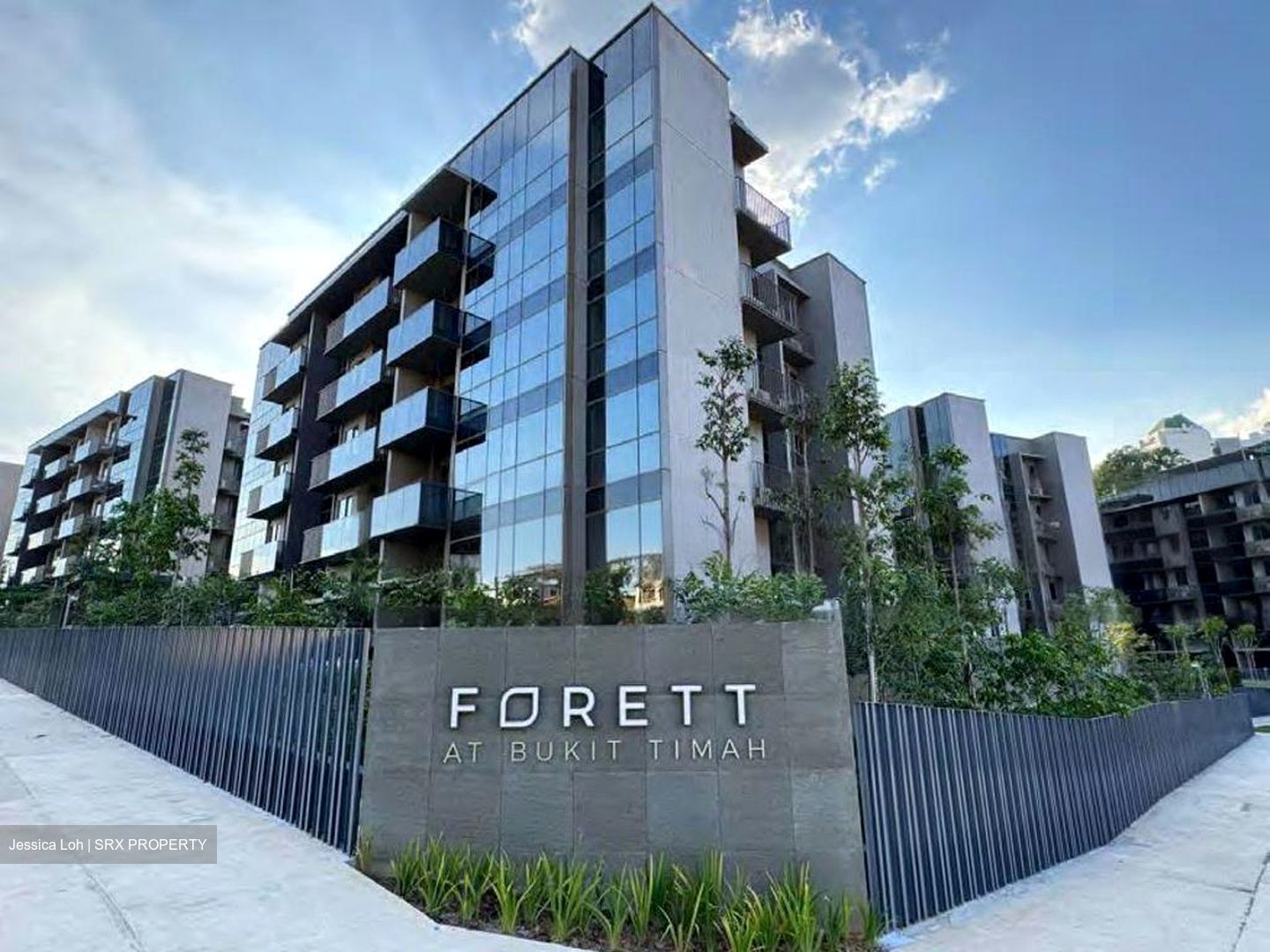 FORETT AT BUKIT TIMAH (D21), Apartment #480827581
